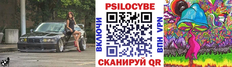 купить наркотики сайты  Каменногорск  Псилоцибиновые грибы Magic Shrooms 